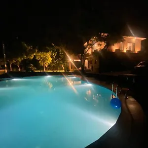 Amaltas Udaipur